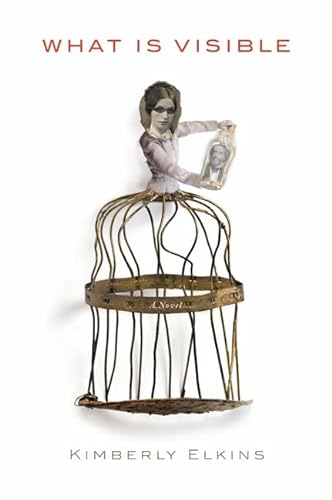 cover image What is Visible