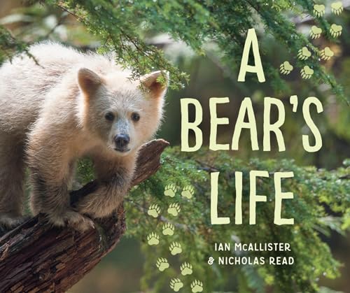 cover image A Bear’s Life