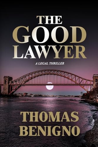 cover image The Good Lawyer