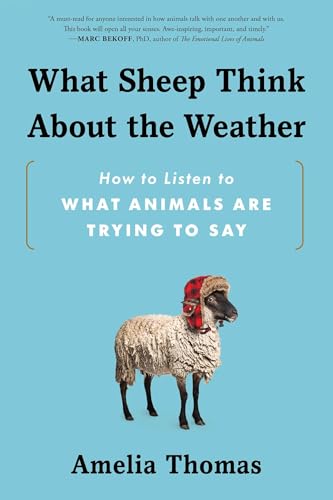 cover image What Sheep Think About the Weather: How to Listen to What Animals Are Trying to Say