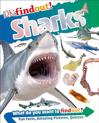 cover image DK Findout! Sharks