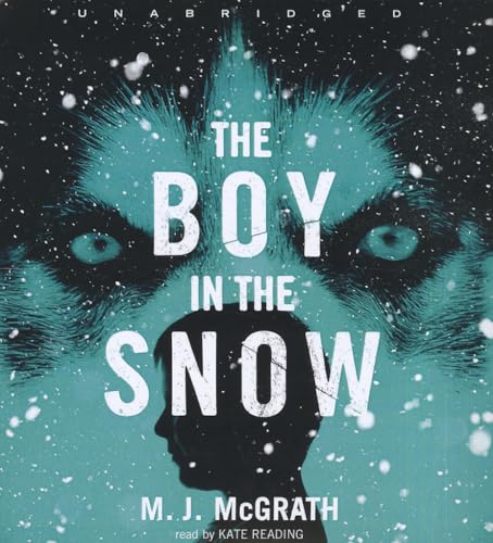 cover image The Boy In the Snow