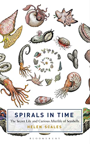 cover image Spirals in Time: The Secret Life and Curious Afterlife of Seashells