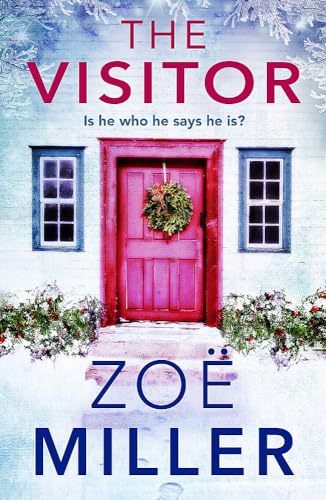 cover image The Visitor