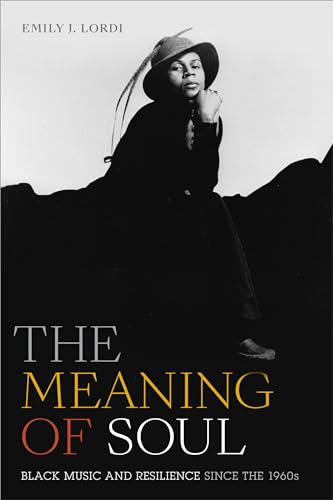cover image The Meaning of Soul: Black Music and Resilience since the 1960s