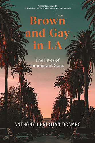 cover image Brown and Gay in LA: The Lives of Immigrant Sons