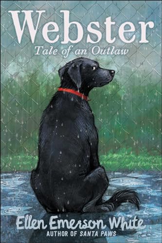 cover image Webster: Tale of an Outlaw