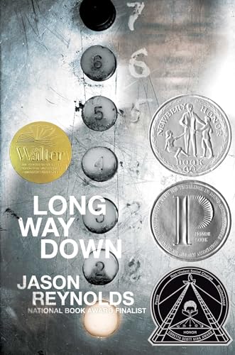 cover image Long Way Down
