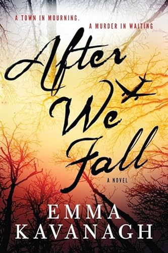 cover image After We Fall