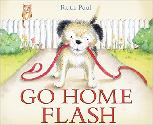 cover image Go Home Flash
