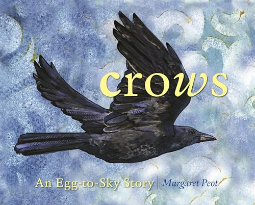 cover image Crows: An Egg-to-Sky Story