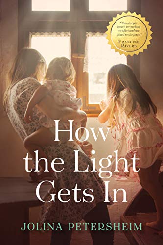 cover image How the Light Gets In