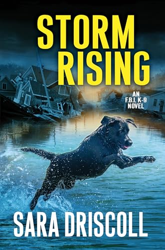 cover image Storm Rising