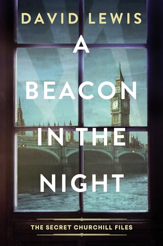 cover image A Beacon in the Night