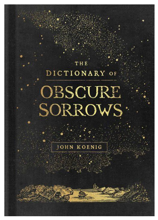 cover image Dictionary of Obscure Sorrows