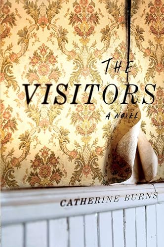 cover image The Visitors