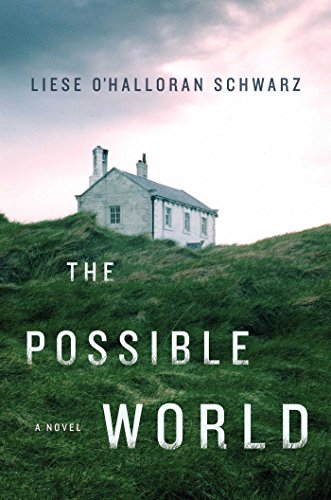 cover image The Possible World