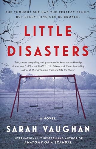 cover image Little Disasters