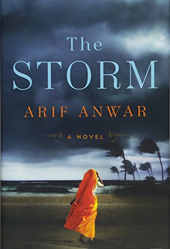cover image The Storm
