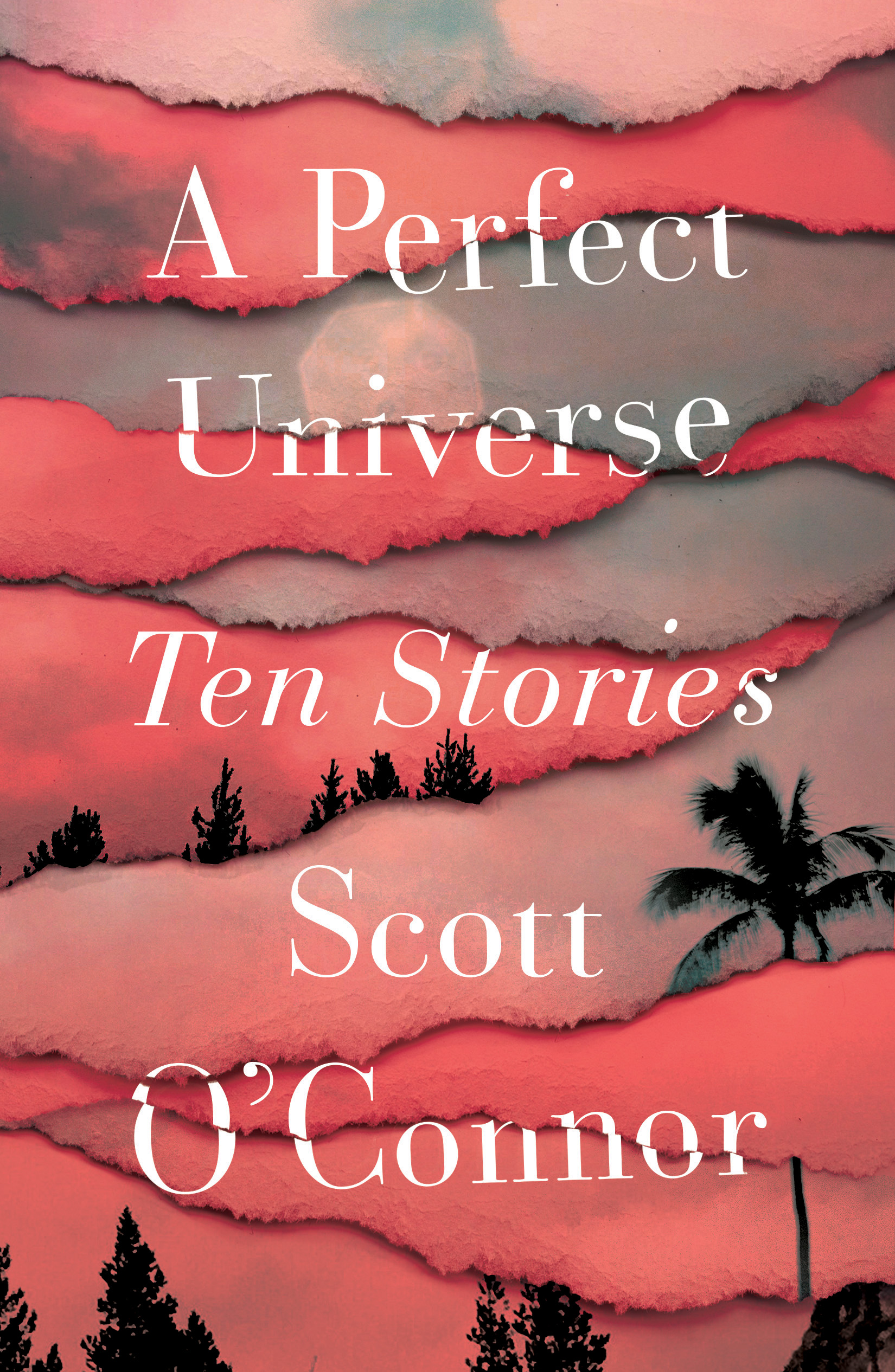 cover image A Perfect Universe: Ten Stories
