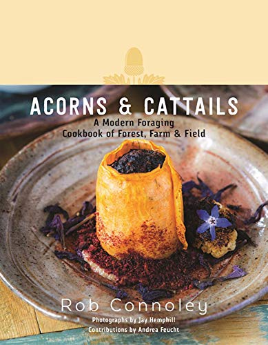 cover image Acorns & Cattails: A Modern Foraging Cookbook of Forest, Farm & Field