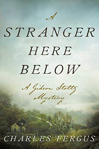 cover image A Stranger Here Below: A Gideon Stolz Mystery