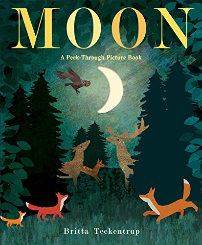 cover image Moon: A Peek-Through Picture Book