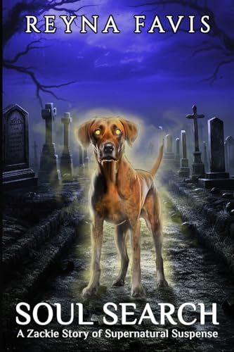 cover image Soul Search: A Zackie Story