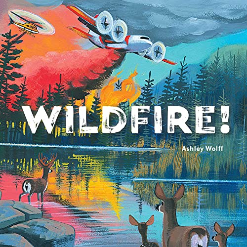 cover image Wildfire!