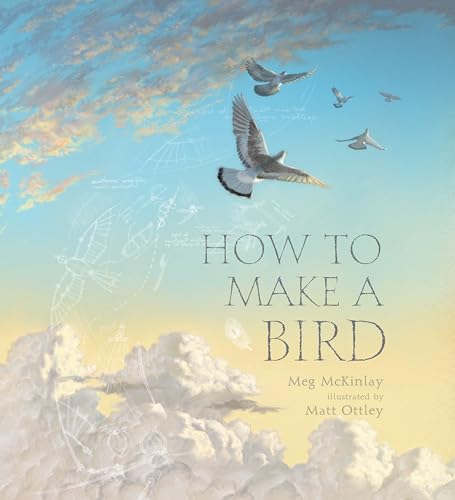 cover image How to Make a Bird