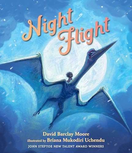 cover image Night Flight