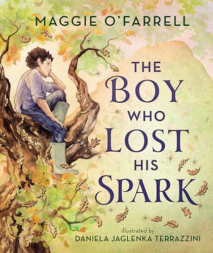 cover image The Boy Who Lost His Spark