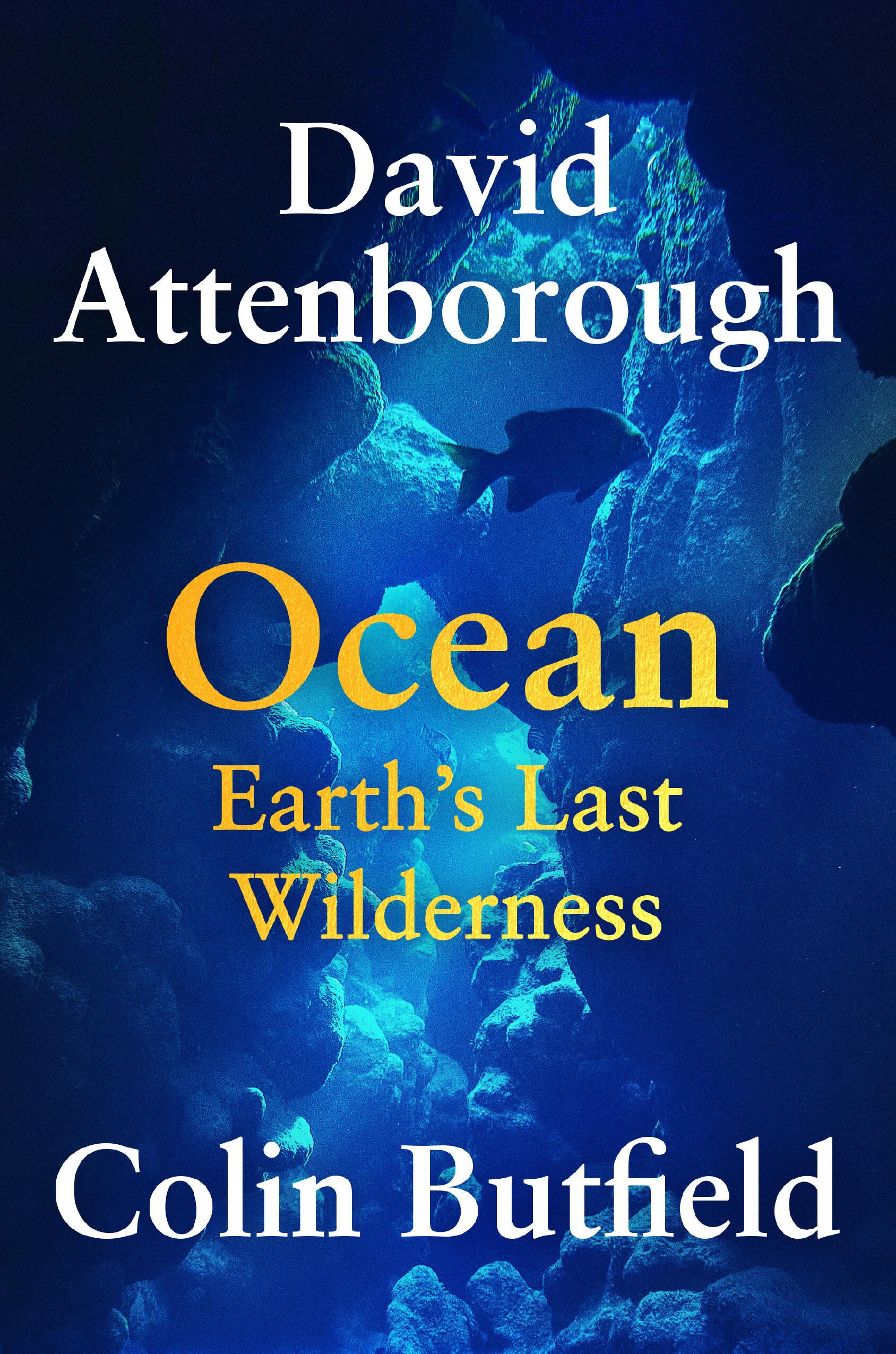cover image Ocean: Earth’s Last Wilderness