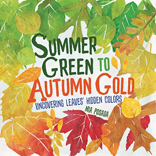 cover image Summer Green to Autumn Gold: Uncovering Leaves’ Hidden Colors
