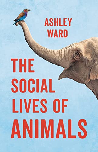 cover image The Social Lives of Animals