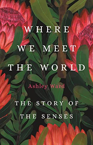 cover image Where We Meet the World: The Story of the Senses