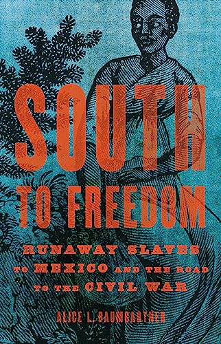 cover image South to Freedom: Runaway Slaves to Mexico and the Road to the Civil War