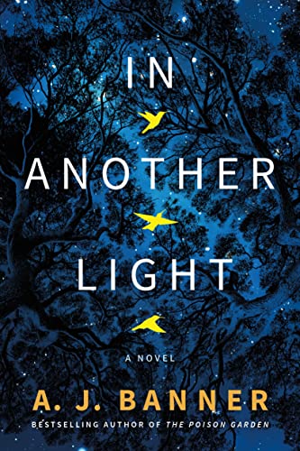 cover image In Another Light