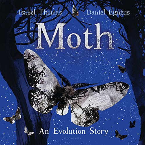 cover image Moth
