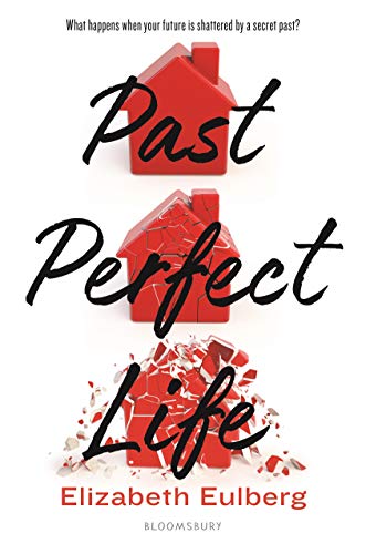 cover image Past Perfect Life