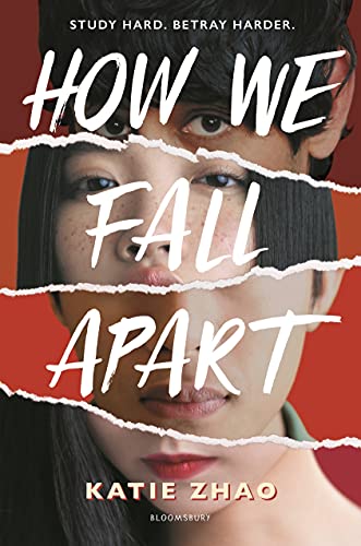 cover image How We Fall Apart