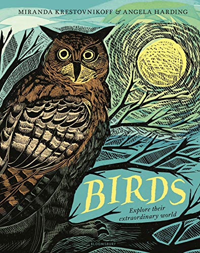 cover image Birds: Explore Their Extraordinary World