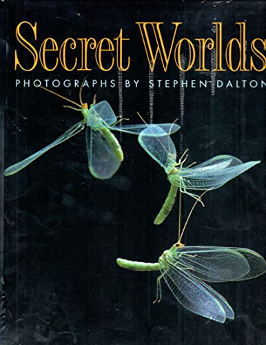 cover image Secret Worlds