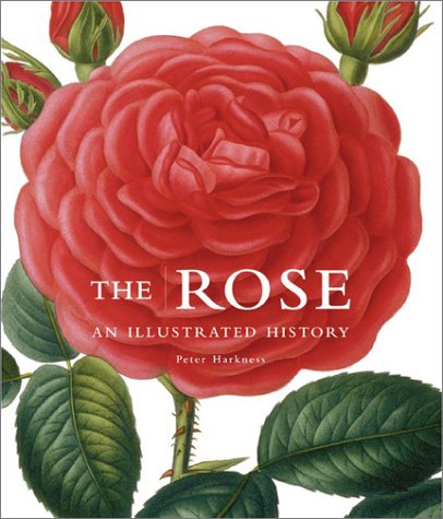 cover image THE ROSE: An Illustrated History