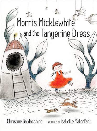 cover image Morris Micklewhite and the Tangerine Dress