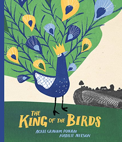 cover image The King of the Birds