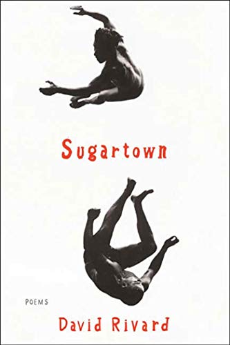 cover image Sugartown