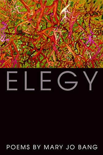 cover image Elegy