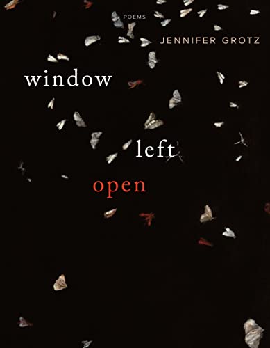 cover image Window Left Open