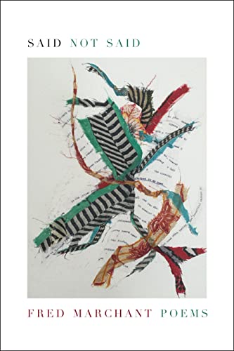 cover image Said Not Said